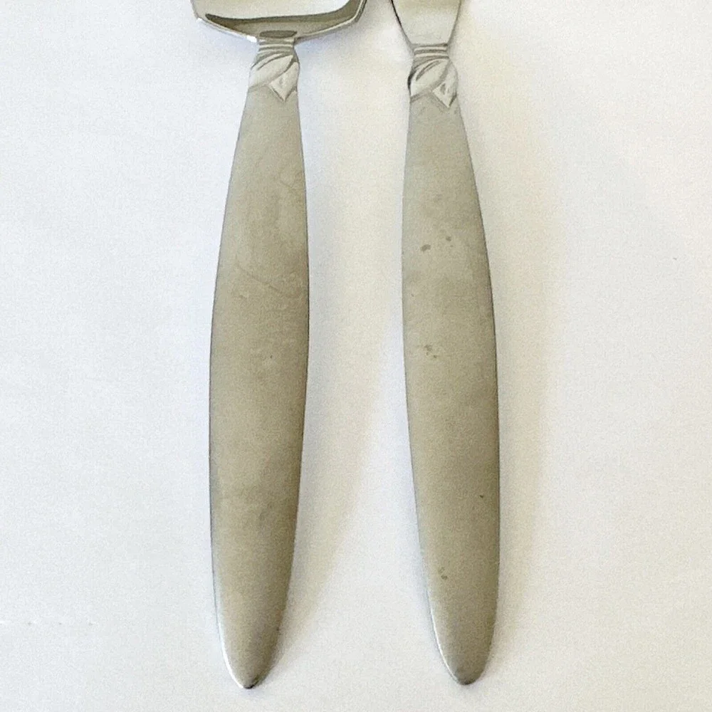 2 Pc Pfaltzgraff stainless 18/0 Laurel Frosted handle Butter Knife & Sugar Spoon